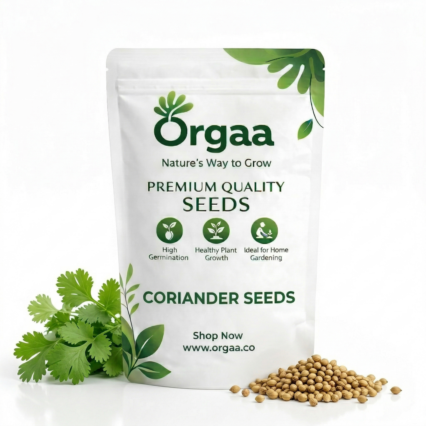 Orgaa Coriander Seeds (Dhaniya) – Multipurpose Herb Seeds for Kitchen Gardening