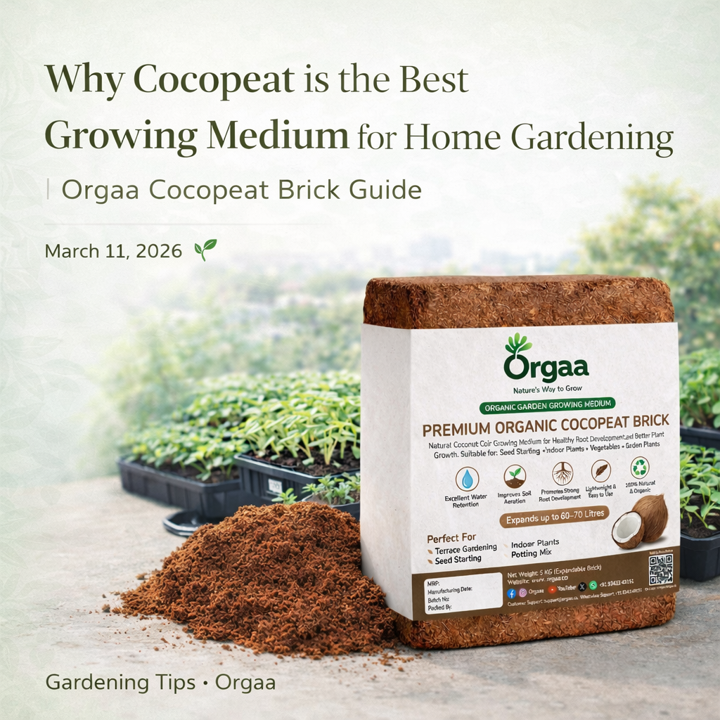 घर पर गार्डनिंग के लिए Cocopeat क्यों सबसे अच्छा Growing Medium है? | Orgaa Guide