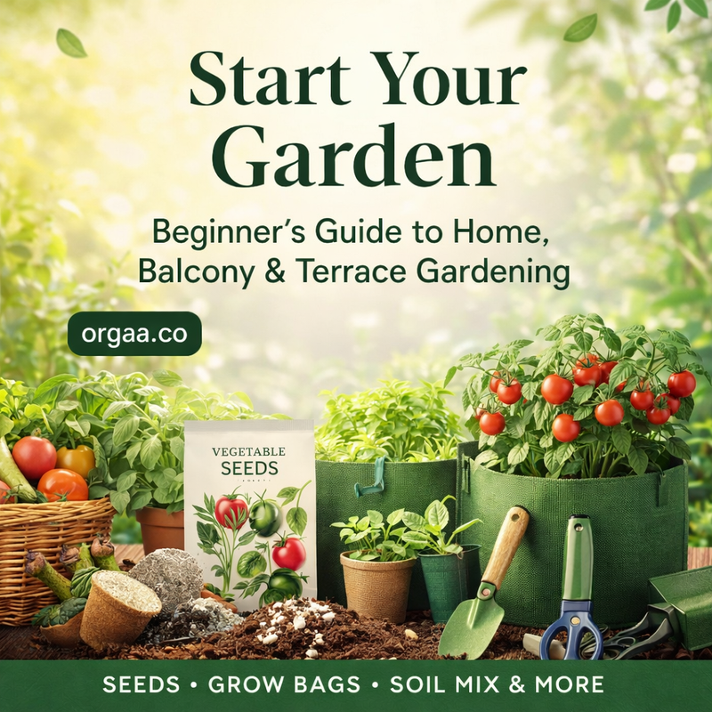 Start Your Garden: A Beginner’s Guide to Home, Balcony & Terrace Gardening
