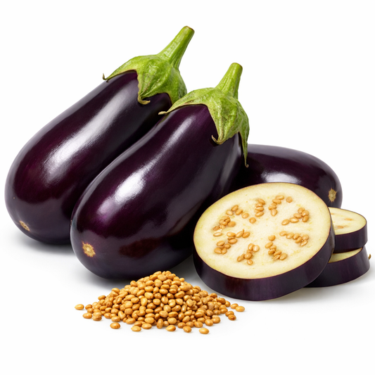 Orgaa Brinjal Seeds (Baingan) – High Yield Vegetable Seeds for Home Gardening