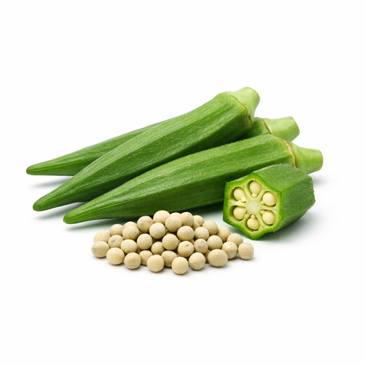 Orgaa Okra Seeds (Bhindi) – Fast Growing Lady Finger Seeds for Kitchen Gardening