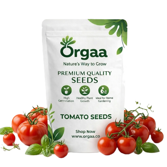 Orgaa Tomato Seeds (Tamatar) – High Yield Vegetable Seeds for Home & Kitchen Gardening
