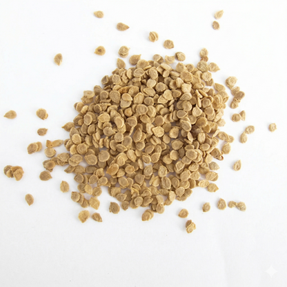 Orgaa Tomato Seeds (Tamatar) – High Yield Vegetable Seeds for Home & Kitchen Gardening