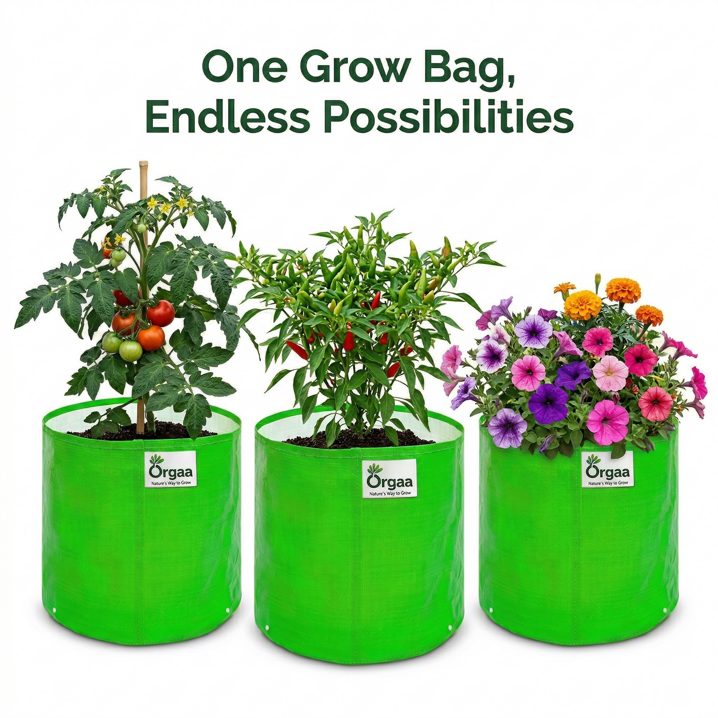 Orgaa HDPE Grow Bags 12x12 Inch (260 GSM) | Heavy Duty Plant Pots for Terrace Gardening