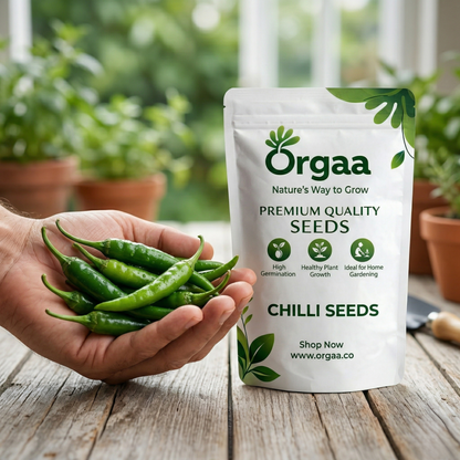 Orgaa Chilli Seeds (Hari Mirch) – High Yield Green Chilli Seeds for Home Gardening