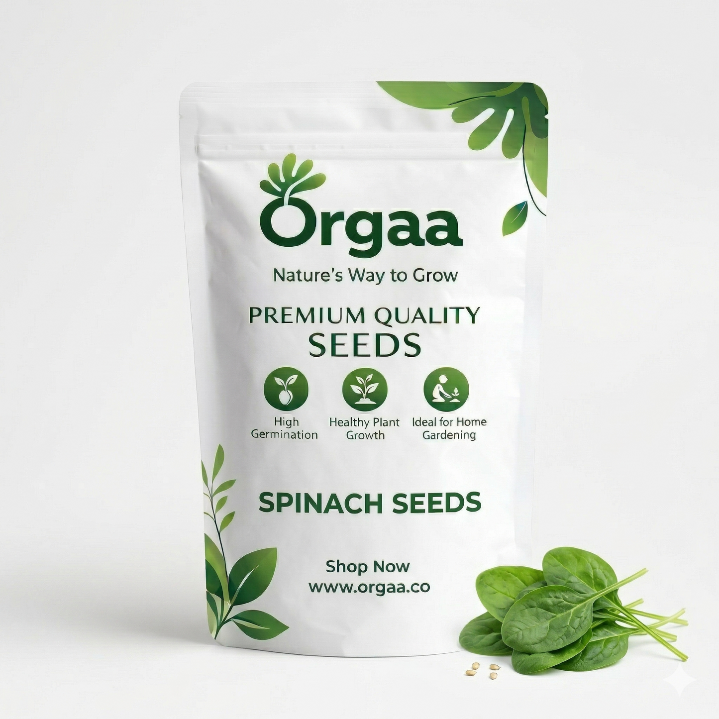 Orgaa Spinach Seeds (Palak) – Fast Growing Leafy Vegetable Seeds for Home Gardening