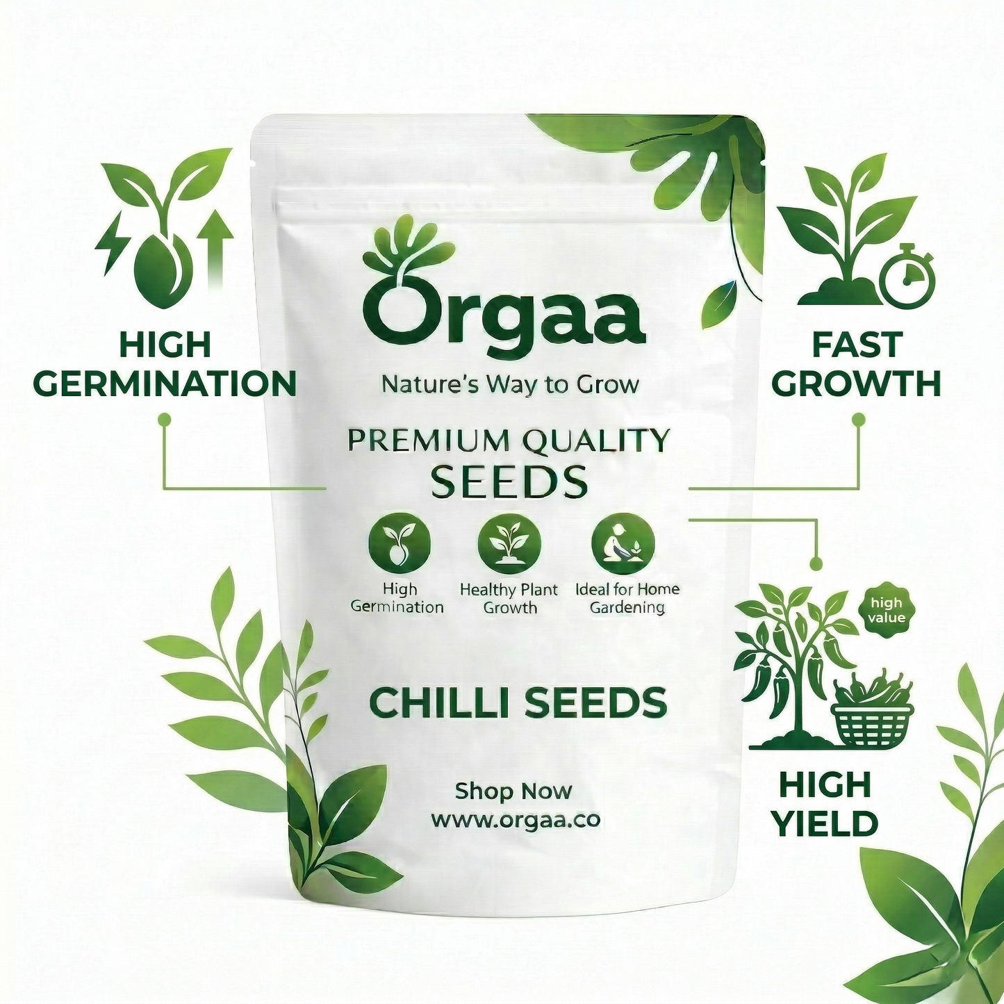 Orgaa Chilli Seeds (Hari Mirch) – High Yield Green Chilli Seeds for Home Gardening