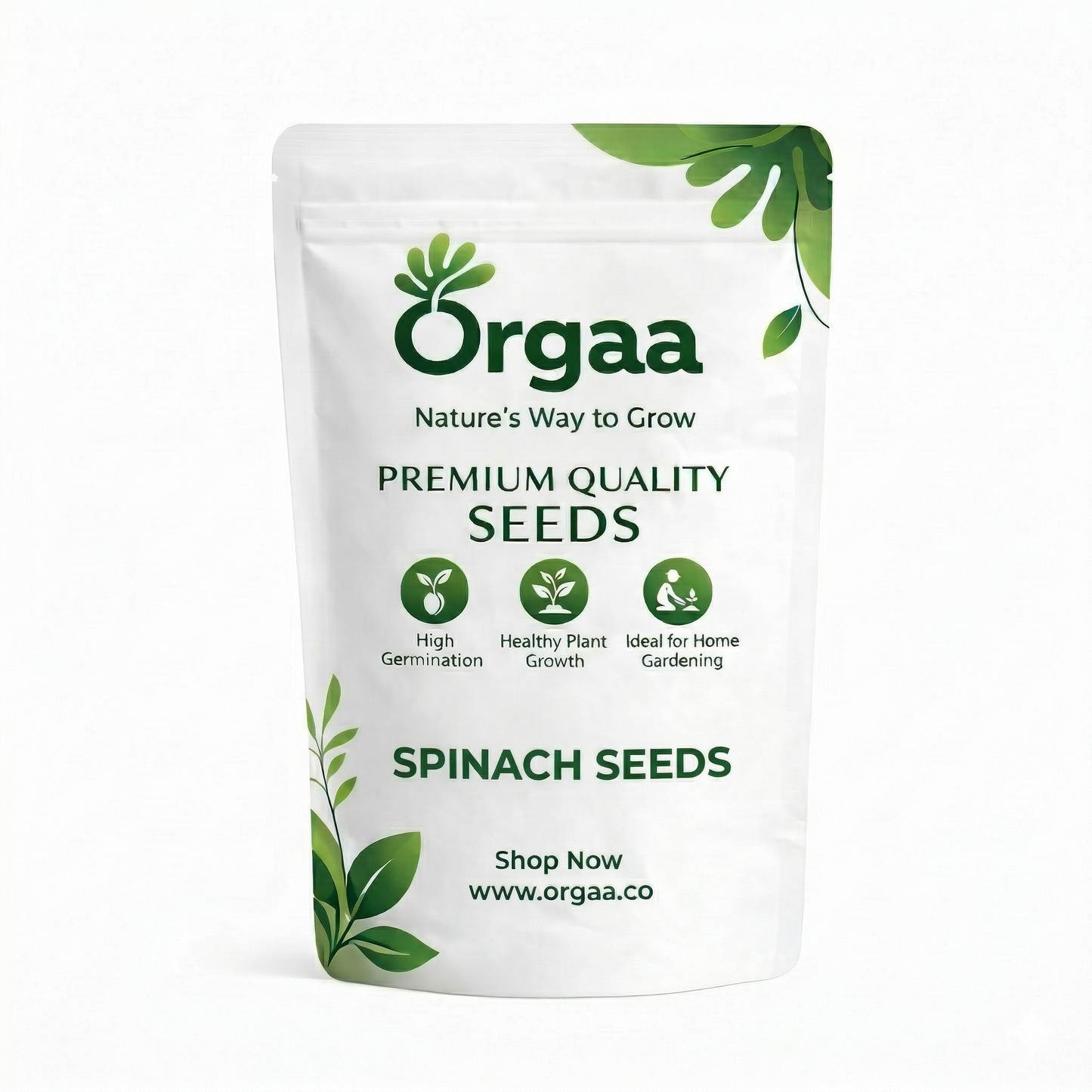 Orgaa Spinach Seeds (Palak) – Fast Growing Leafy Vegetable Seeds for Home Gardening
