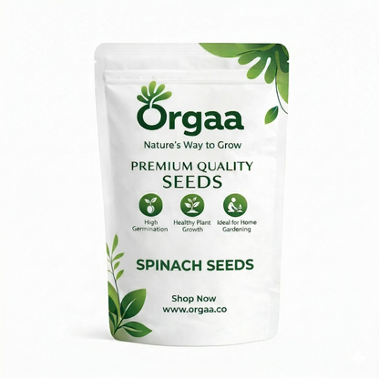 Orgaa Spinach Seeds (Palak) – Fast Growing Leafy Vegetable Seeds for Home Gardening
