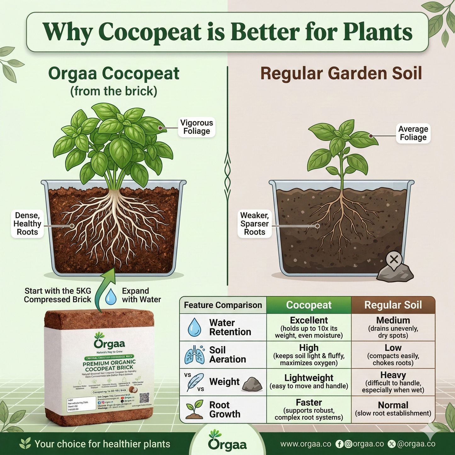 Orgaa Premium Organic Cocopeat Brick 5 KG – Expands to 60-70 Litres | Natural Coconut Coir