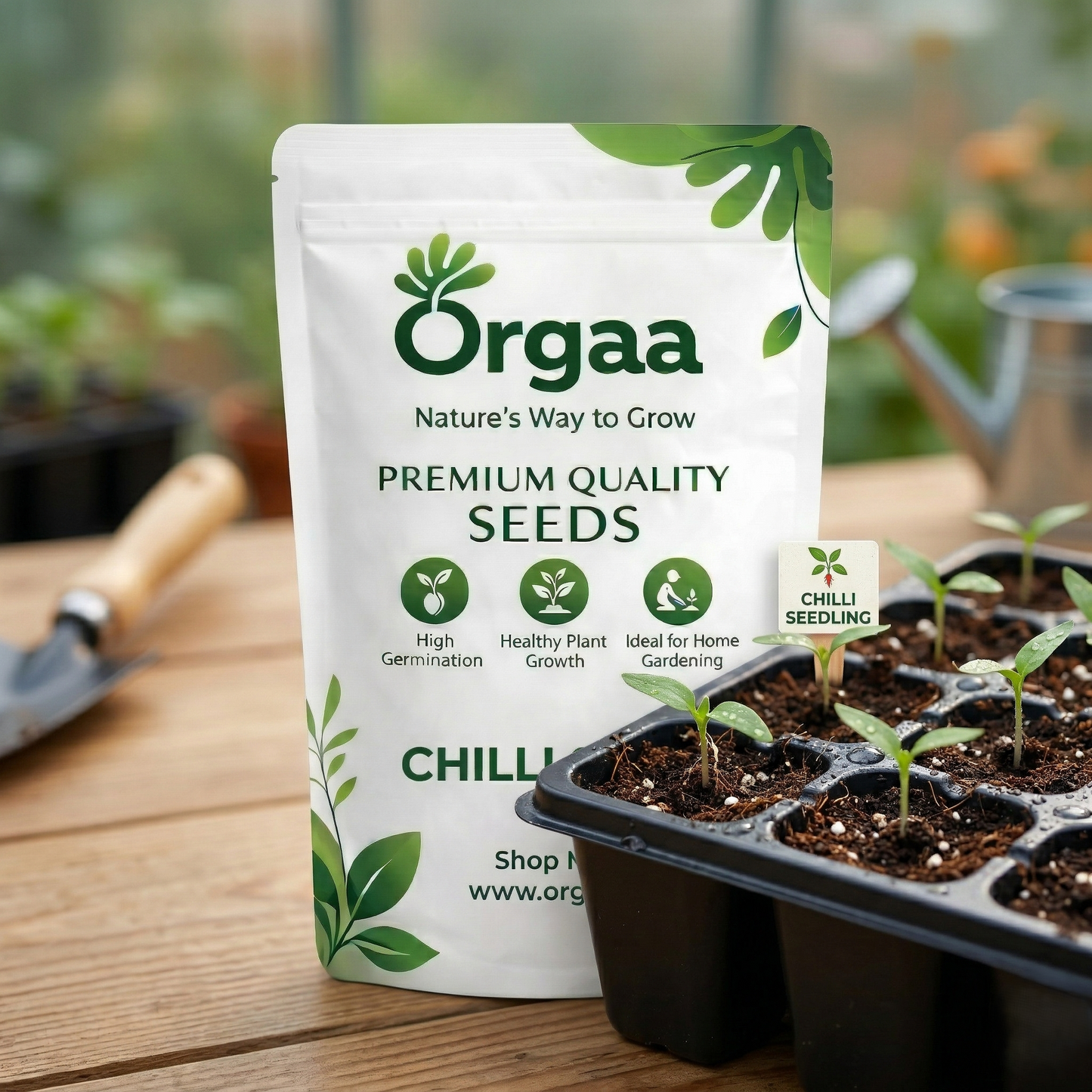 Orgaa Chilli Seeds (Hari Mirch) – High Yield Green Chilli Seeds for Home Gardening