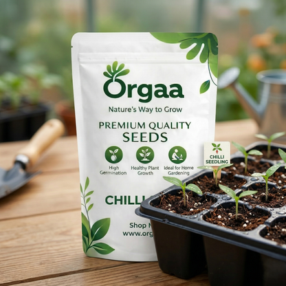 Orgaa Chilli Seeds (Hari Mirch) – High Yield Green Chilli Seeds for Home Gardening