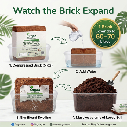 Orgaa Premium Organic Cocopeat Brick 5 KG – Expands to 60-70 Litres | Natural Coconut Coir