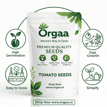 Orgaa Tomato Seeds (Tamatar) – High Yield Vegetable Seeds for Home & Kitchen Gardening