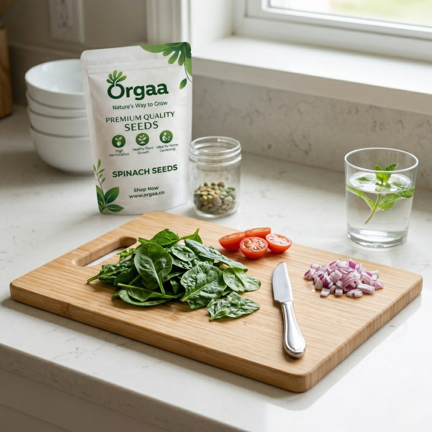Orgaa Spinach Seeds (Palak) – Fast Growing Leafy Vegetable Seeds for Home Gardening