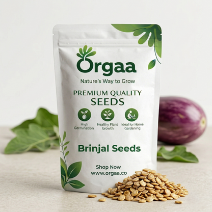 Orgaa Brinjal Seeds (Baingan) – High Yield Vegetable Seeds for Home Gardening