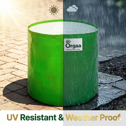 Orgaa HDPE Grow Bags 12x12 Inch (260 GSM) | Heavy Duty Plant Pots for Terrace Gardening