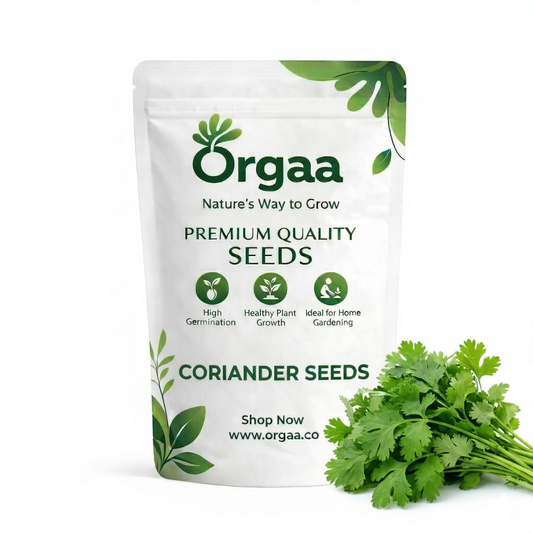 Orgaa Coriander Seeds (Dhaniya) – Multipurpose Herb Seeds for Kitchen Gardening
