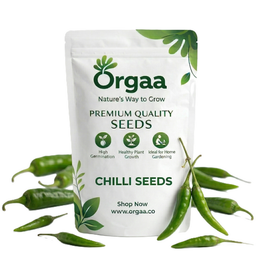 Orgaa Chilli Seeds (Hari Mirch) – High Yield Green Chilli Seeds for Home Gardening