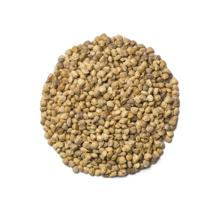 Orgaa Spinach Seeds (Palak) – Fast Growing Leafy Vegetable Seeds for Home Gardening