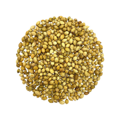 Orgaa Coriander Seeds (Dhaniya) – Multipurpose Herb Seeds for Kitchen Gardening