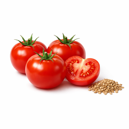 Orgaa Tomato Seeds (Tamatar) – High Yield Vegetable Seeds for Home & Kitchen Gardening
